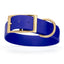 Viper Biothane Waterproof Dog Collar - Brass Hardware - 1.5in Wide, Size XXL (24 to 28 inches) Blueberry Royal Dog Collars Dogline
