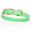 Viper Biothane Waterproof Dog Collar - Brass Hardware - Size M (15 to 18 inches) Sea Foam Green Dog Collars Dogline