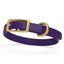 Viper Biothane Waterproof Dog Collar - Brass Hardware - Size XS (9 to 12 inches) Violet Purple Dog Collars Dogline