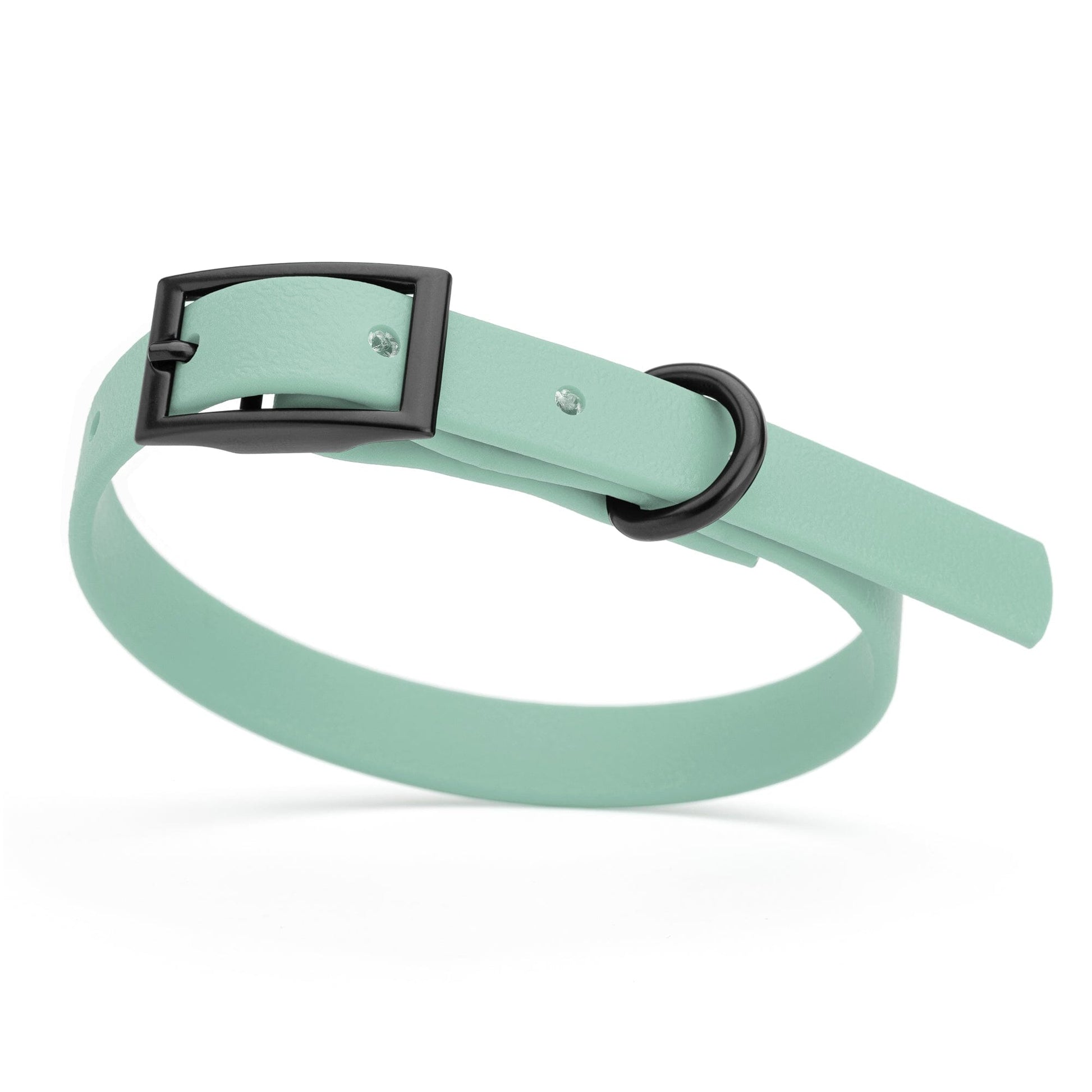Biothane Waterproof Dog Collar - X-Small (9 to 12 inches) Sage Green L 9"-12" x W 1 2" Dog Collars Dogline