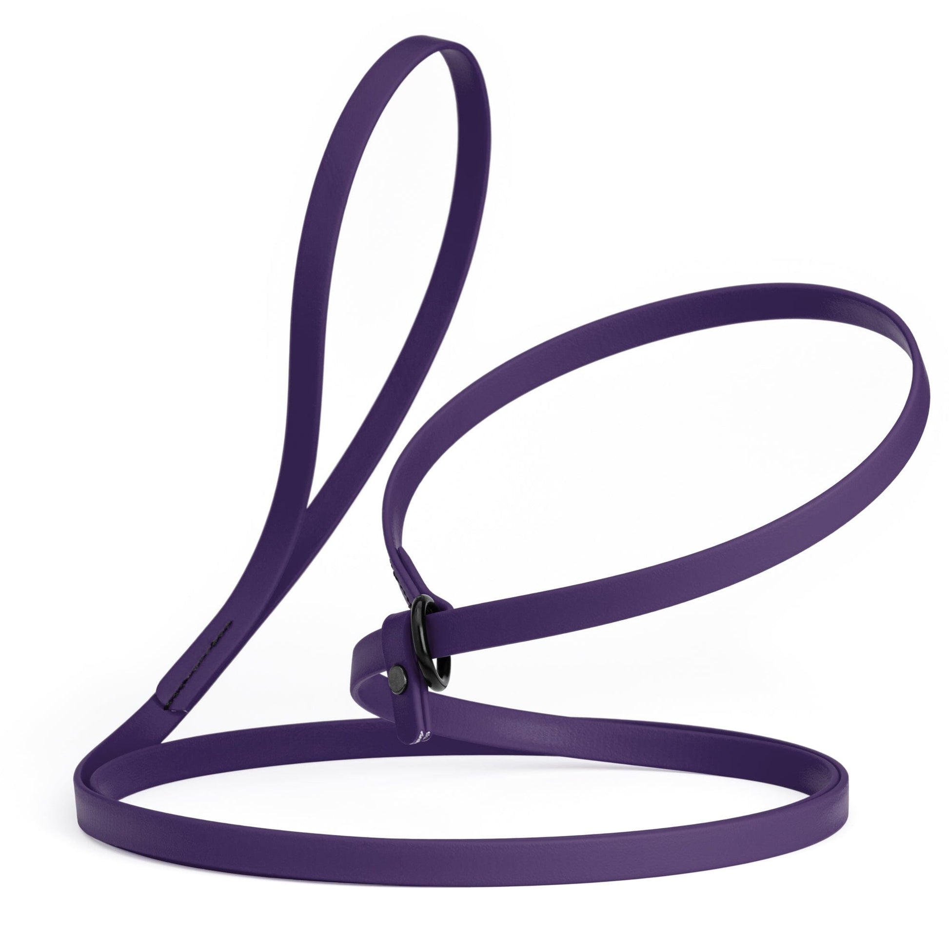 Biothane Slip Lead for Dogs, 5FT and 7FT Violet Purple 7' 1 2" Dog Leashes Dogline