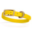 Viper Biothane Waterproof Dog Collar with Brass Hardware Lemon Yellow L 9"-12" x W 1 2" Dog Collars Dogline