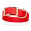 Viper Biothane Waterproof Dog Collar - Brass Hardware - 1.5in Wide, Size L (16 to 20 inches) Cherry Red Dog Collars Dogline