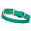 Viper Biothane Waterproof Dog Collar - Brass Hardware - Size S (12 to 15 inches) Teal Dog Collars Dogline