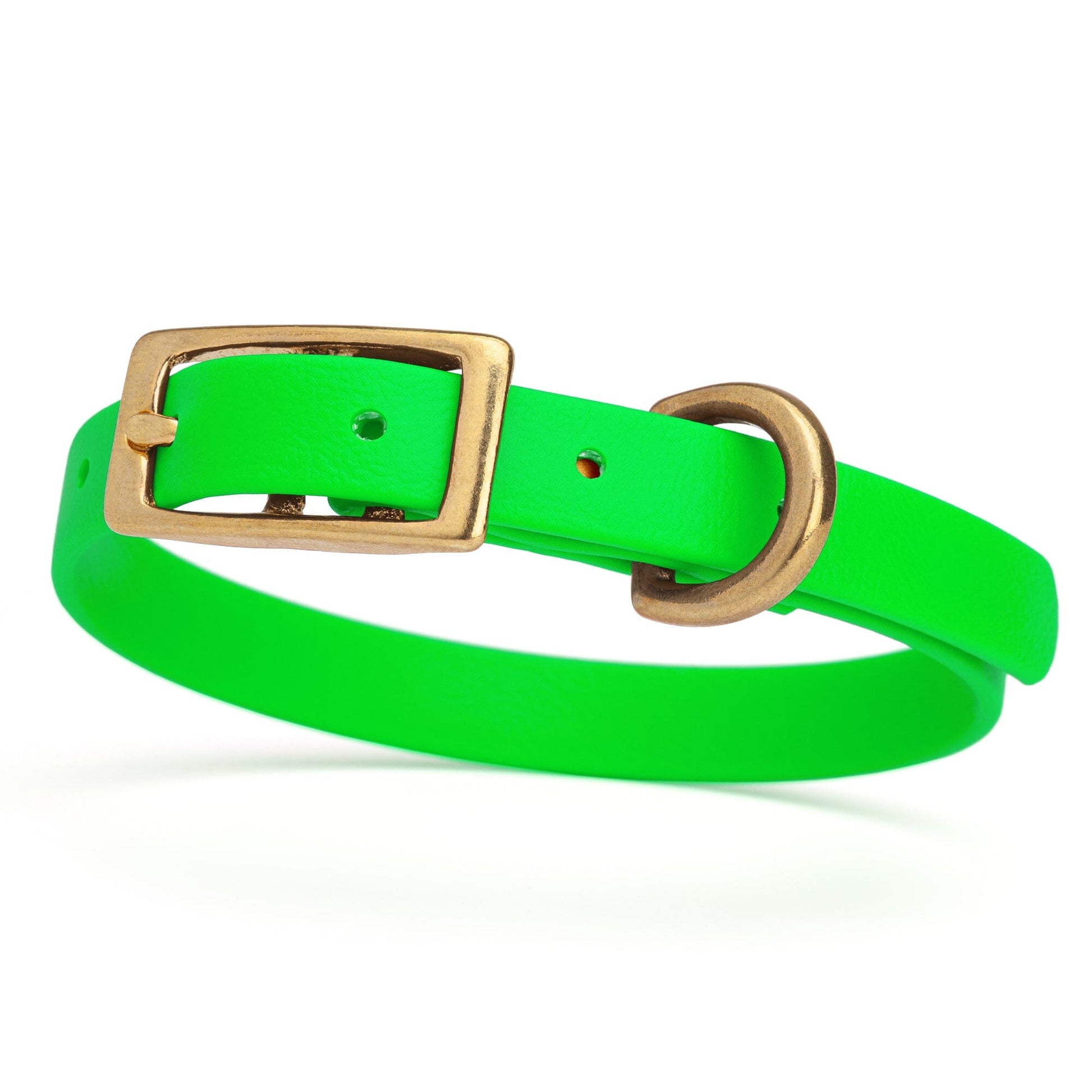 Viper Biothane Waterproof Dog Collar with Brass Hardware Tropical Green L 9"-12" x W 1 2" Dog Collars Dogline