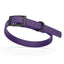 Biothane Waterproof Dog Collar - X-Small (9 to 12 inches) Violet Purple L 9"-12" x W 1 2" Dog Collars Dogline