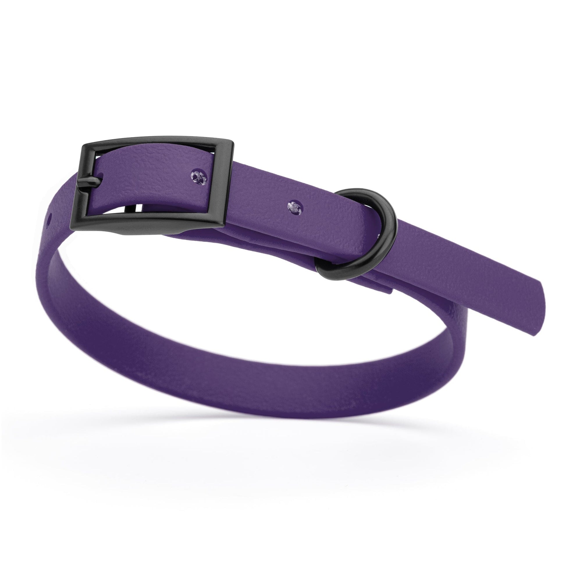 Biothane Waterproof Dog Collar - X-Small (9 to 12 inches) Violet Purple L 9"-12" x W 1 2" Dog Collars Dogline