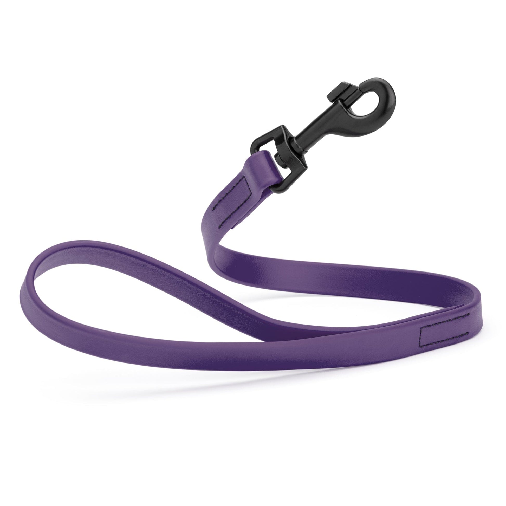 Biothane Waterproof Traffic Lead for Dogs, 2 ft Violet Purple 2' 3 4" Dog Leashes Dogline