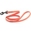 Biothane Waterproof Dog Leash, 4 ft Coral 4' Dog Leashes Dogline
