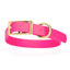 Viper Biothane Waterproof Dog Collar - Brass Hardware - Size L (18 to 22 inches) Passionfruit Pink Dog Collars Dogline