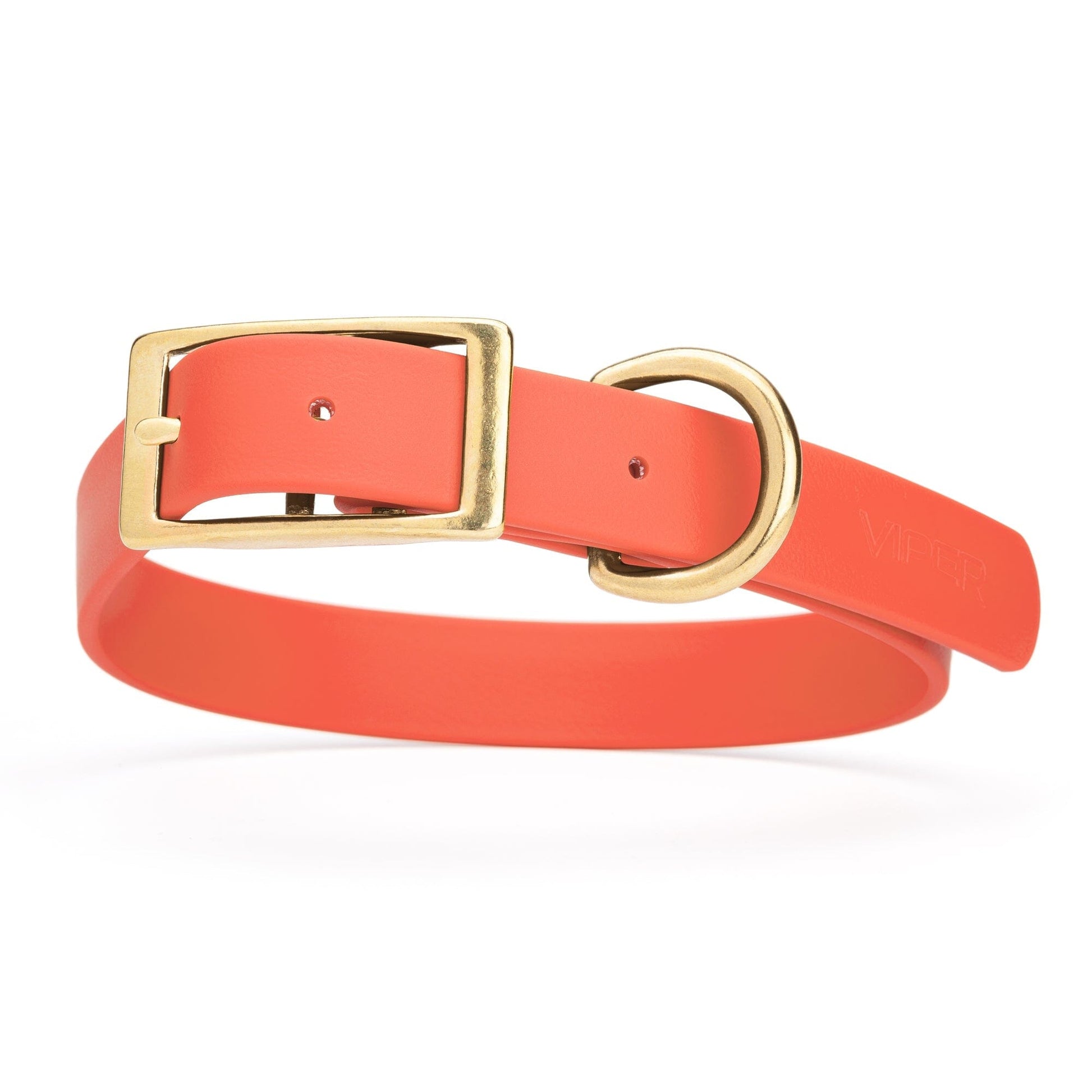 Viper Biothane Waterproof Dog Collar - Brass Hardware - Size XL (22 to 25 inches) Coral Dog Collars Dogline