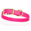 Viper Biothane Waterproof Dog Collar - Brass Hardware - Size M (15 to 18 inches) Passionfruit Pink Dog Collars Dogline