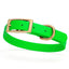 Viper Biothane Waterproof Dog Collar - Brass Hardware - Size S (12 to 15 inches) Tropical Green Dog Collars Dogline