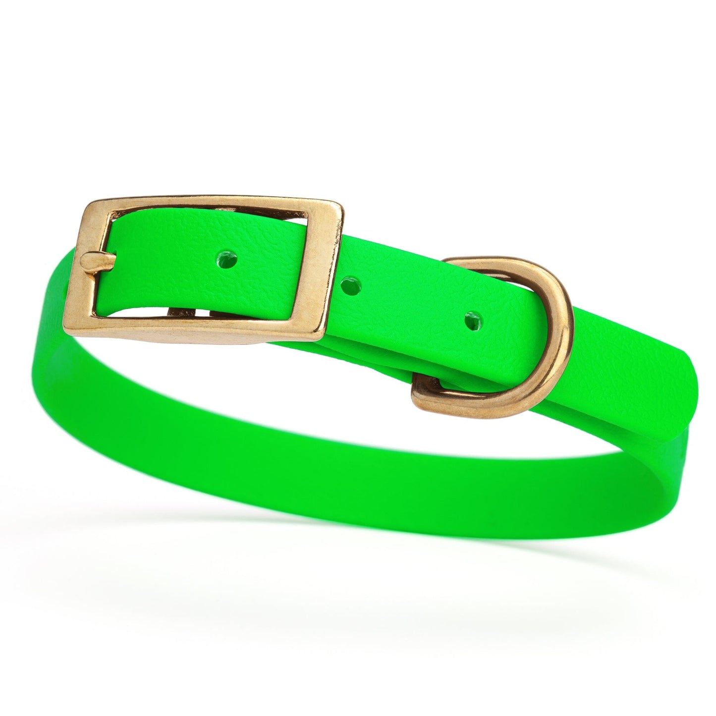 Viper Biothane Waterproof Dog Collar - Brass Hardware - Size S (12 to 15 inches) Tropical Green Dog Collars Dogline