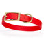 Viper Biothane Waterproof Dog Collar - Brass Hardware - Size M (15 to 18 inches) Cherry Red Dog Collars Dogline