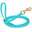 Viper Biothane Long Line 10 ft Lead with Brass Hardware Sky Blue 5 8" Dog Leashes Dogline