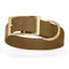 Viper Biothane Waterproof Dog Collar - Brass Hardware - 1.5in Wide, Size XL (20 to 24 inches) Dog Collars Dogline