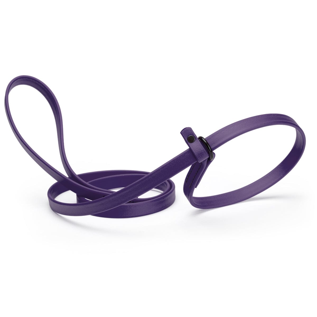 Biothane Slip Lead for Dogs, 5FT and 7FT Violet Purple 5 8" Dog Leashes Dogline