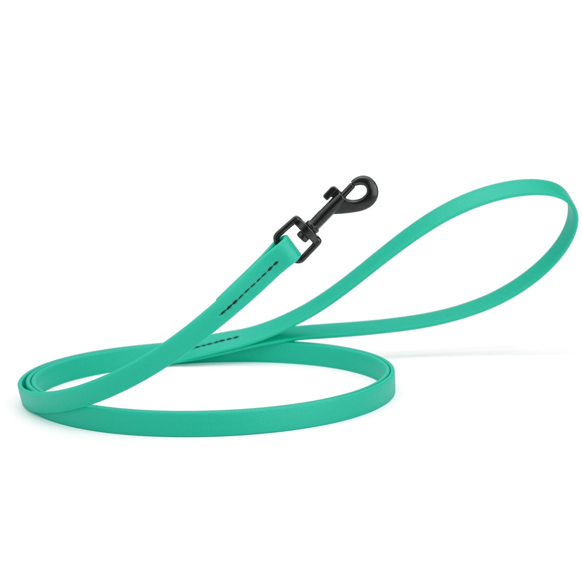 Biothane Waterproof Dog Leash, 4 ft Teal 4' 1 2" Dog Leashes Dogline