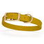 Viper Biothane Waterproof Dog Collar - Brass Hardware - Size M (15 to 18 inches) Treasure Gold Dog Collars Dogline