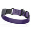 Sprenger BioThane Waterproof Dog Collar with Stainless Steel ClicLock Quick Release Buckle Violet Purple Black Buckle Dog Collars Dogline