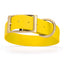 Viper Biothane Waterproof Dog Collar - Brass Hardware - 1.5in Wide, Size L (16 to 20 inches) Lemon Yellow Dog Collars Dogline