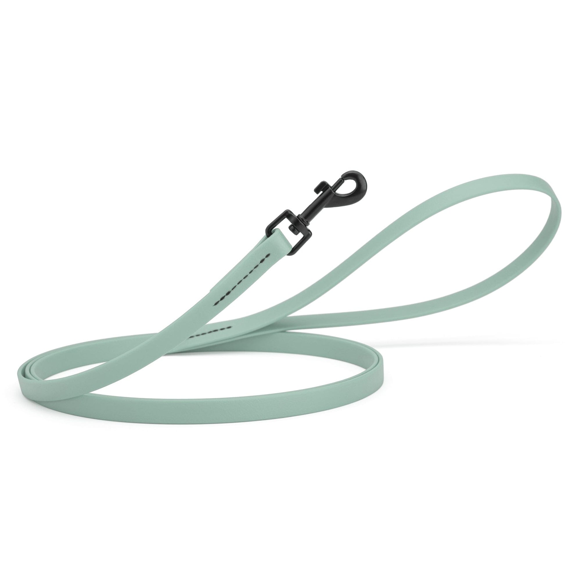 Biothane Waterproof Dog Leash, 4 ft Sage Green 4' 1 2" Dog Leashes Dogline