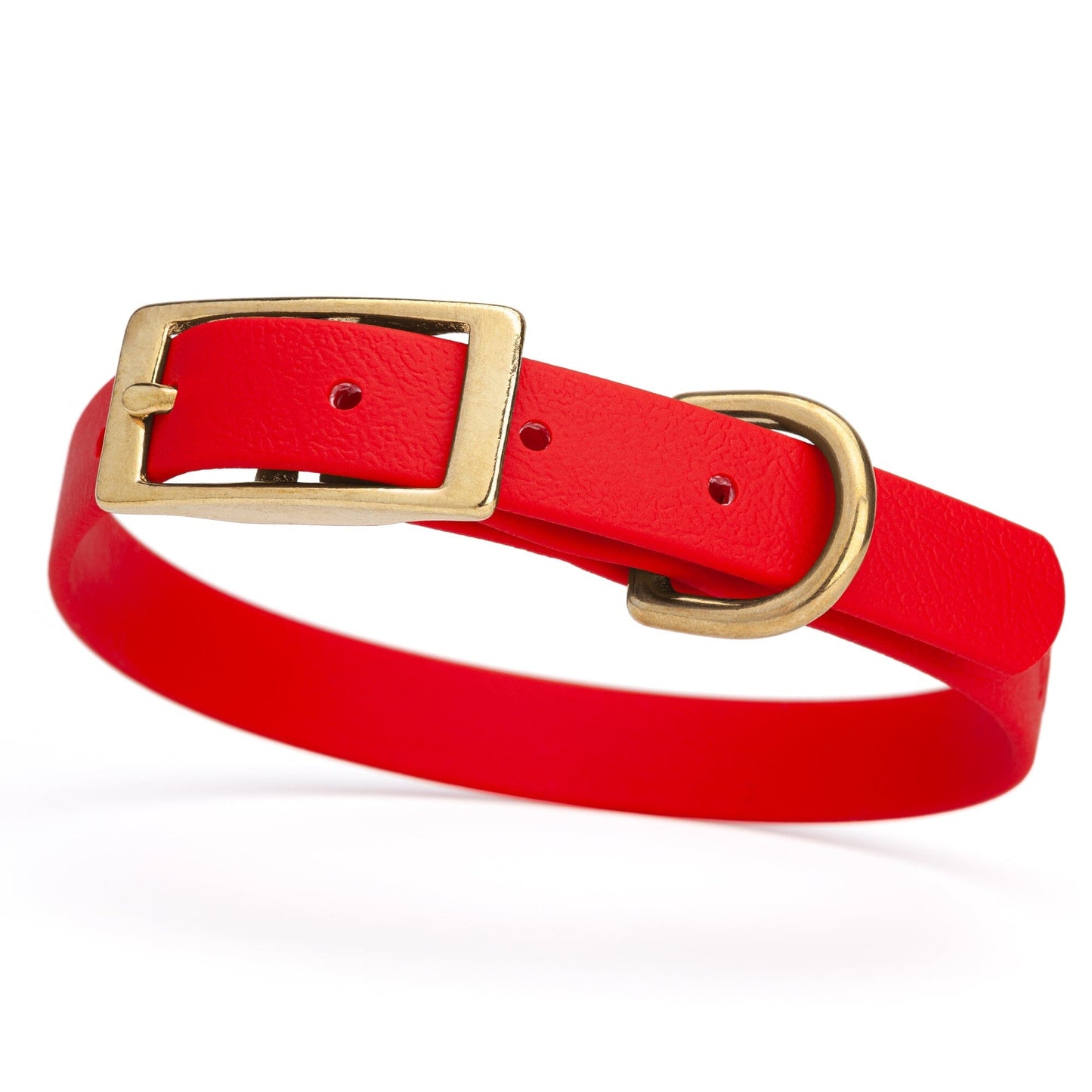 Viper Biothane Waterproof Dog Collar - Brass Hardware - Size S (12 to 15 inches) Cherry Red Dog Collars Dogline