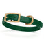 Viper Biothane Waterproof Dog Collar with Brass Hardware Hunter Green L 9"-12" x W 1 2" Dog Collars Dogline