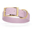 Viper Biothane Waterproof Dog Collar - Brass Hardware - 1.5in Wide, Size XL (20 to 24 inches) Pastel Purple Dog Collars Dogline