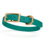 Viper Biothane Waterproof Dog Collar - Brass Hardware - Size XS (9 to 12 inches) Blue Aqua Dog Collars Dogline