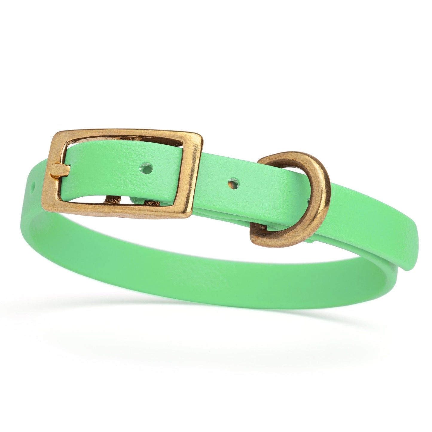 Viper Biothane Waterproof Dog Collar with Brass Hardware Sea Foam Green L 9"-12" x W 1 2" Dog Collars Dogline