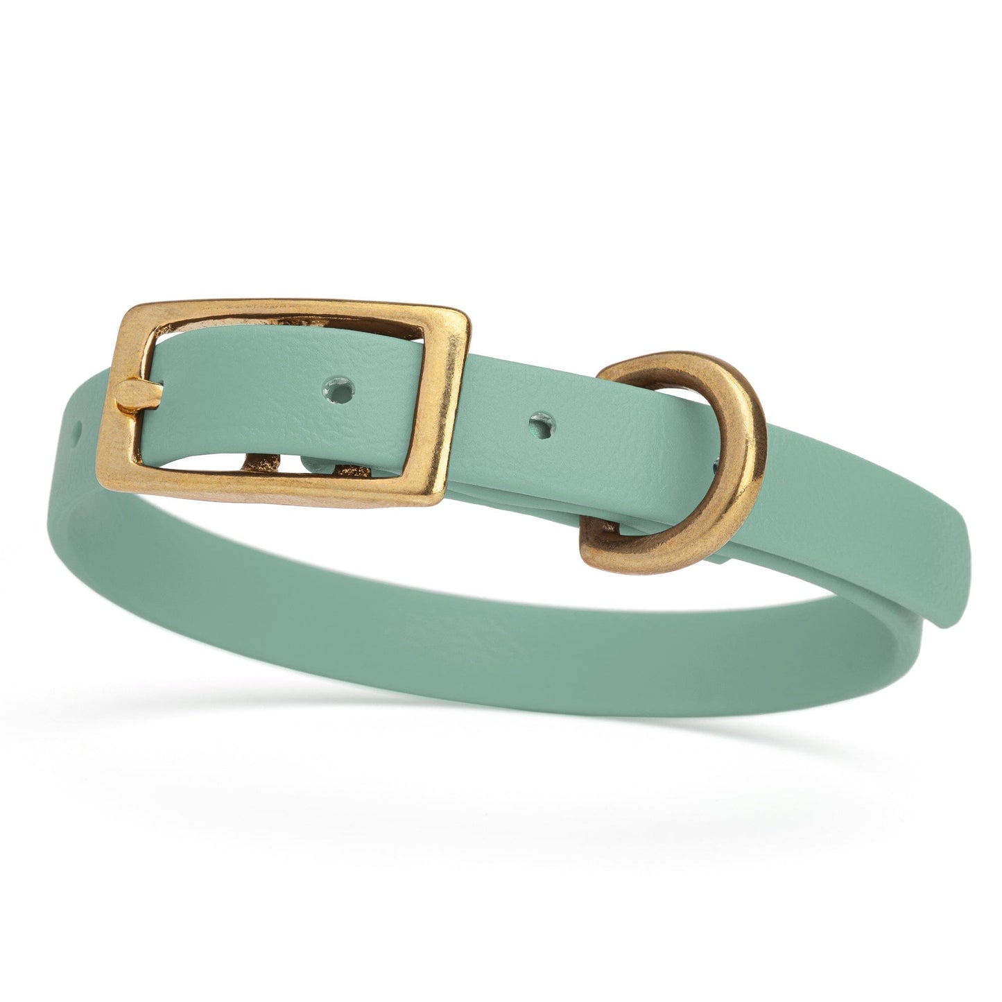 Viper Biothane Waterproof Dog Collar with Brass Hardware Sage Green L 9"-12" x W 1 2" Dog Collars Dogline