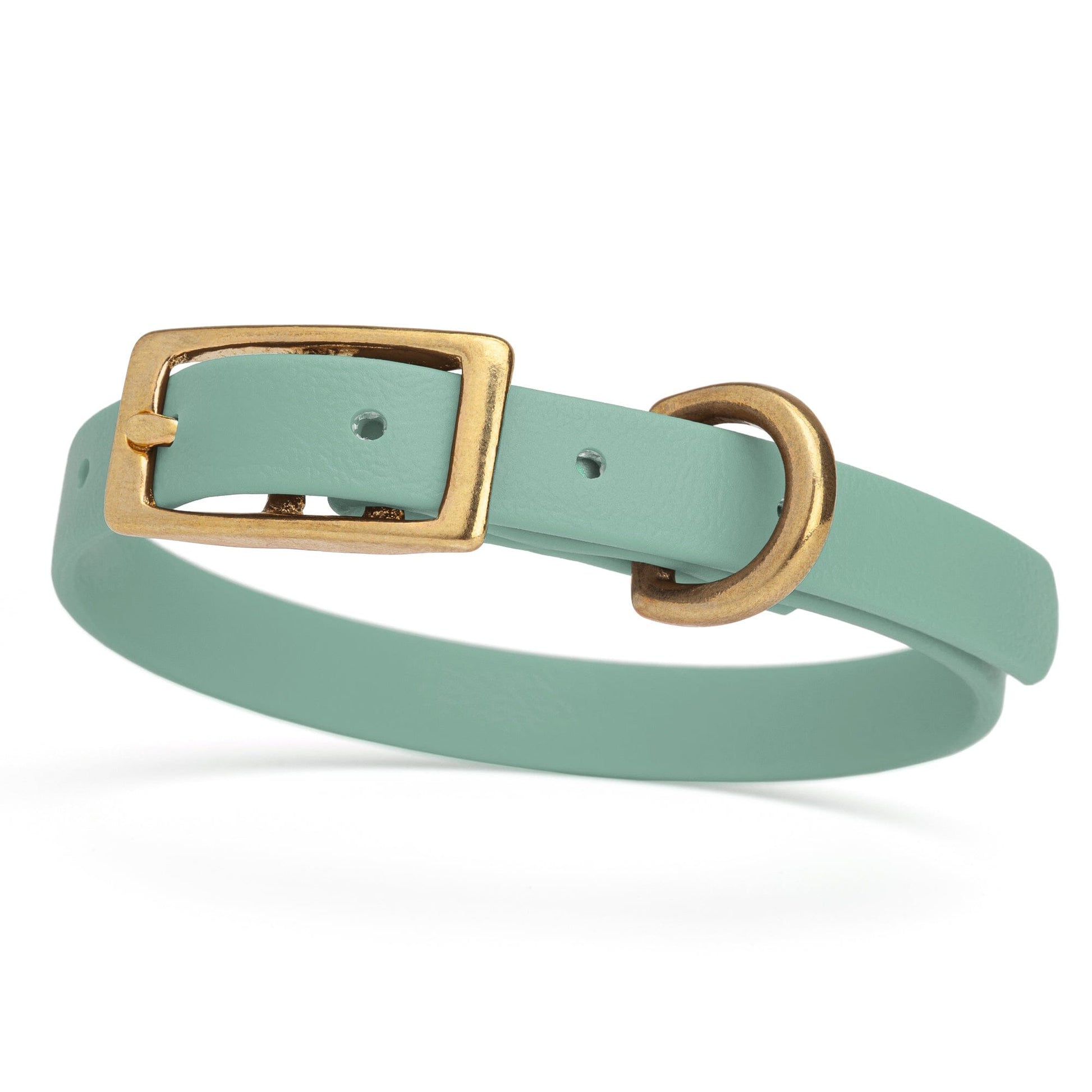 Viper Biothane Waterproof Dog Collar with Brass Hardware Sage Green L 9"-12" x W 1 2" Dog Collars Dogline