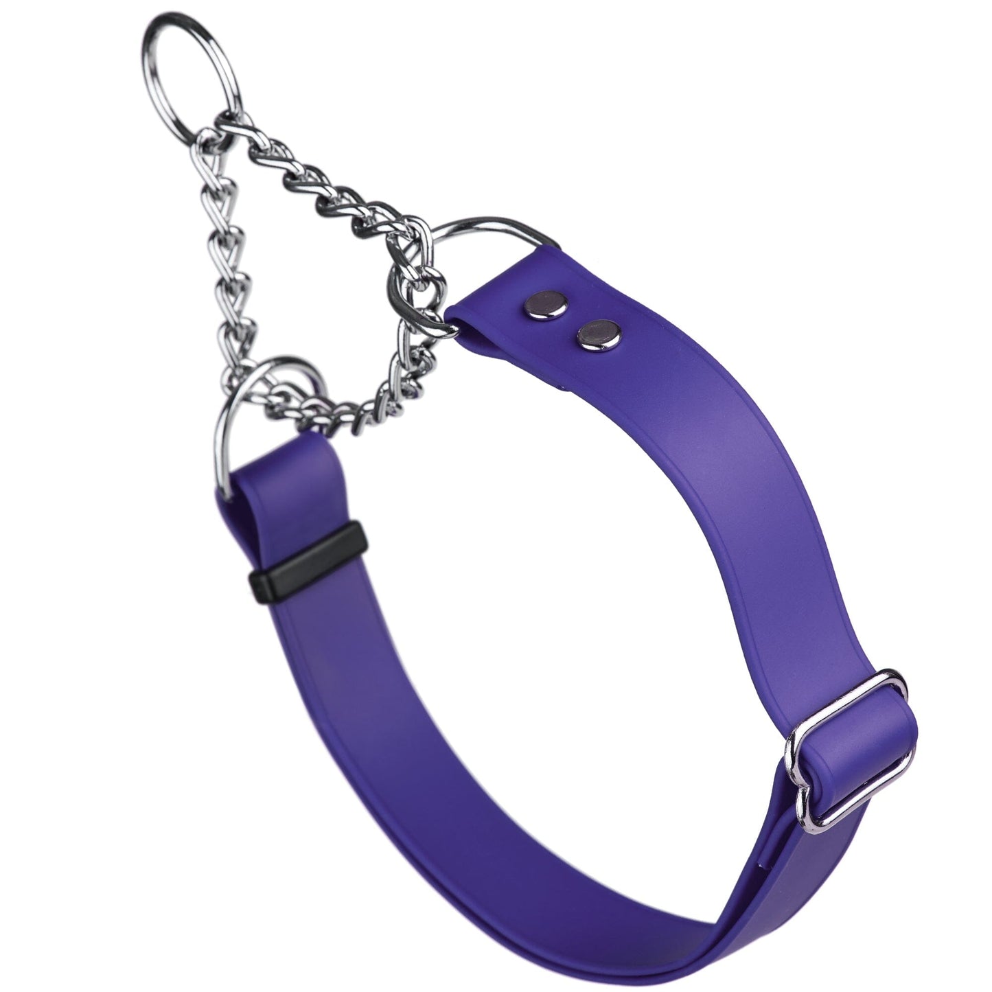 Biothane Adjustable Martingale Collar for Dogs Violet Purple Dog Collars Dogline