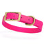 Viper Biothane Waterproof Dog Collar - Brass Hardware - Size S (12 to 15 inches) Passionfruit Pink Dog Collars Dogline