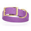 Viper Biothane Waterproof Dog Collar - Brass Hardware - 1.5in Wide, Size XXL (24 to 28 inches) Amethyst Purple Dog Collars Dogline