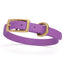 BioThane Waterproof Dog Collar - XS: L 9"-12" x W 1/2" - Black OR Brass Hardware Amethyst Purple L 9"-12" x W 1 2" Brass Dog Collars Dogline