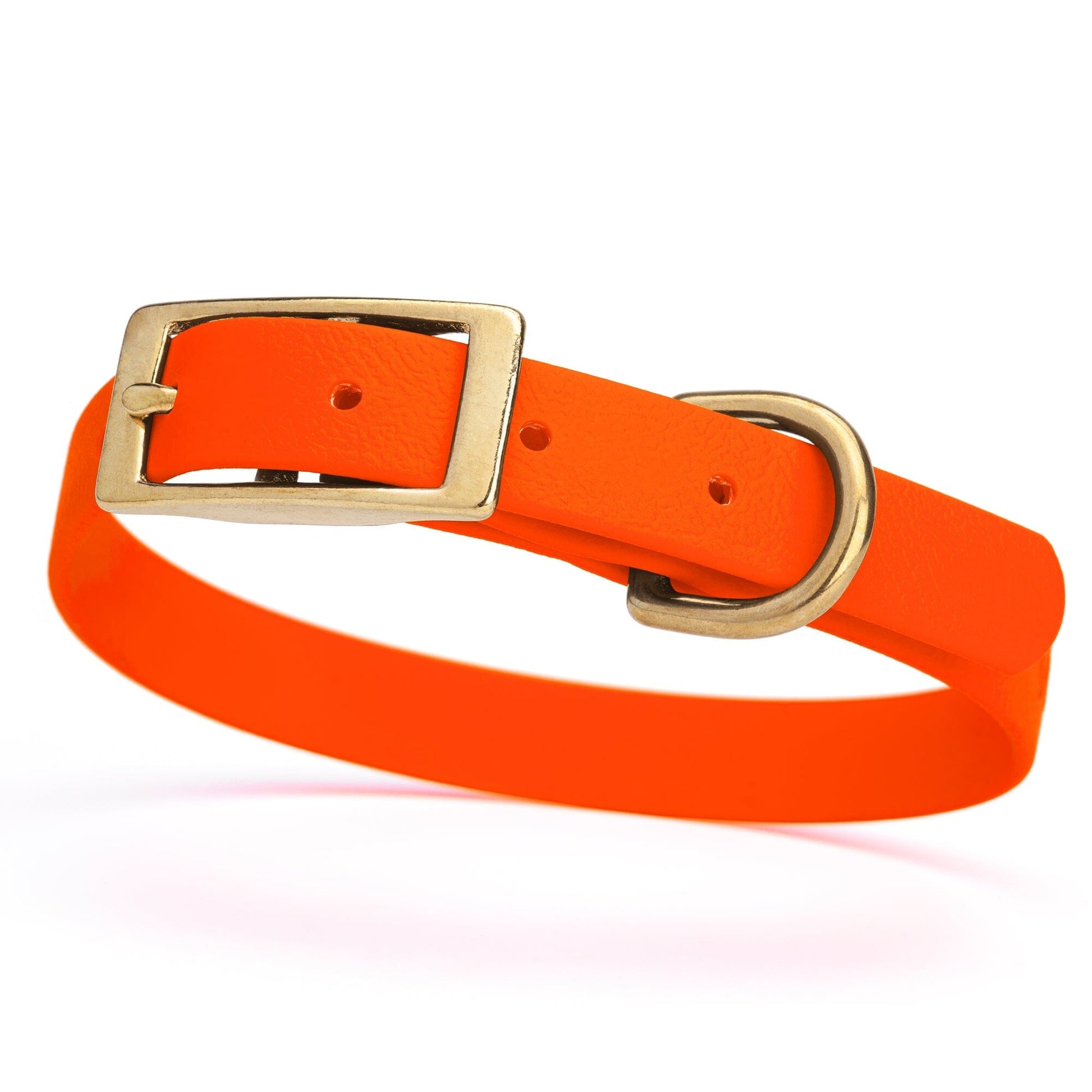 Viper Biothane Waterproof Dog Collar - Brass Hardware - Size S (12 to 15 inches) Hunter Orange Dog Collars Dogline