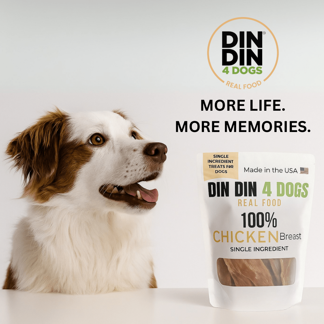 Chicken Treats Dog Treats, 5 Ounce Bag, Single Ingredient, High Protein Dog Food Din Din 4 Dogs