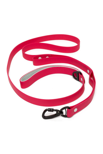 Red Mountain Syrah Waterproof Dog Leash Leash Aria the Fox