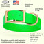 Viper Biothane Waterproof Dog Collar - Brass Hardware - 1.5in Wide, Size L (16 to 20 inches) Dog Collars Dogline