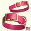 Viper Biothane Waterproof Dog Collar - Brass Hardware - Size XL (22 to 25 inches) Dog Collars Dogline