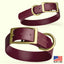 Viper Biothane Waterproof Dog Collar with Brass Hardware Dog Collars Dogline