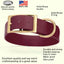 Viper Biothane Waterproof Dog Collar - Brass Hardware - 1.5in Wide, Size XL (20 to 24 inches) Dog Collars Dogline