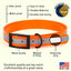 Biothane Translucent Reflective Dog Collar Dog Collars Dogline