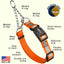 Reflective Biothane Martingale Collar with Quick Release Buckle Dog Collars Dogline