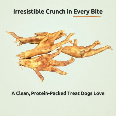 Freezbone Whole Chicken Feet Dental Treats for Dogs - Human Grade - Single Ingredient Dog Treats Freezbone