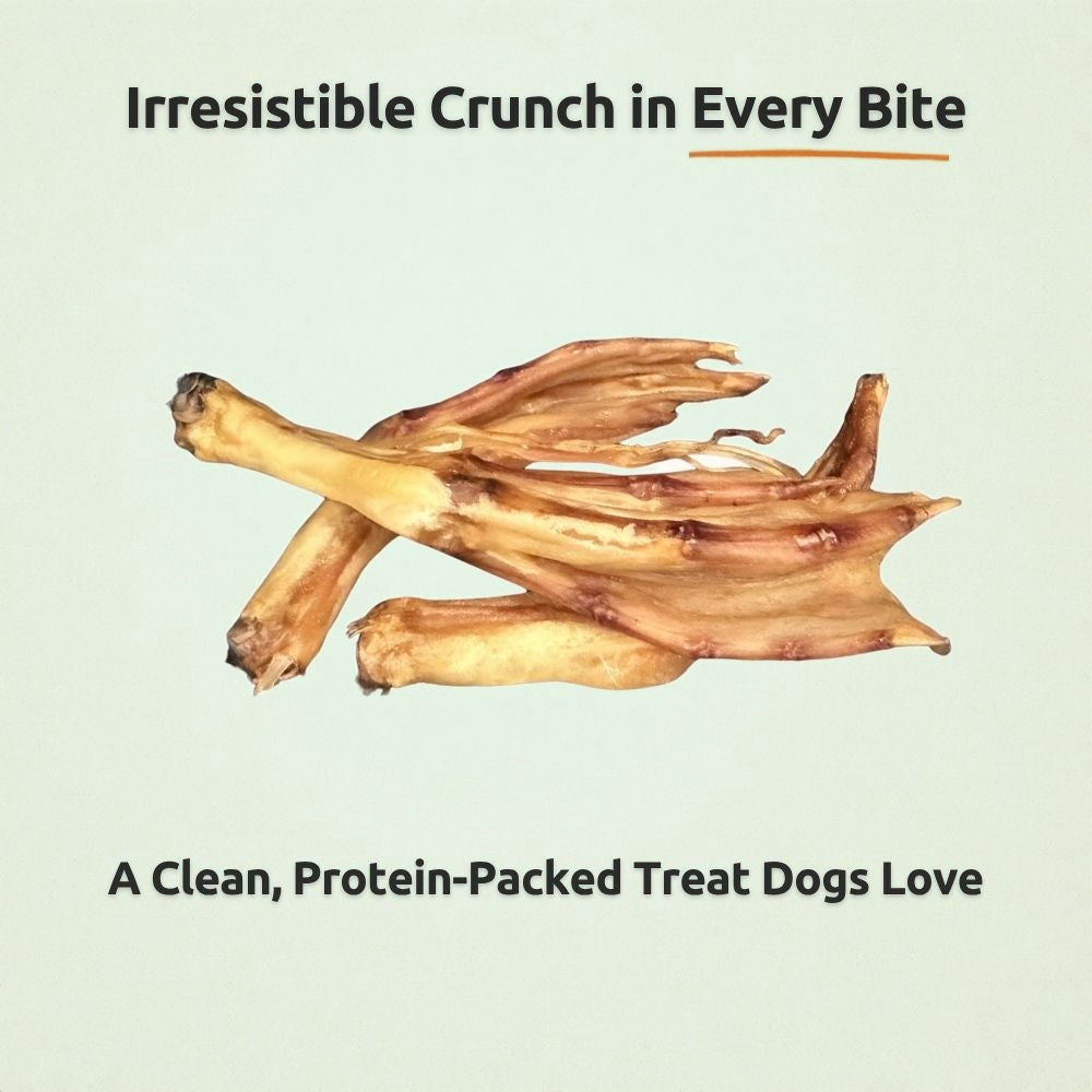 Freezbone Whole Duck Feet Dental Treats for Dogs - Human Grade - Single Ingredient Dog Treats Freezbone