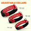 Leather + Nylon Spiked Dog Collar Dog Collars Dogline